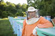 Beekeeper Standing in Apiary