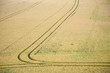 Field with tire marks