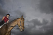 Female horseback rider sitting on brown horse