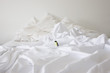 Toy penguin on bed