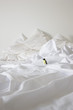 Toy penguin on bed