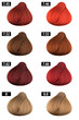 Photo: Hair Color Catalogue 8 Hair Color Catalogue 8