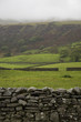 Fields in Yorkshire Dales, Yorkshire, England