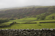 Fields in Yorkshire Dales, Yorkshire, England