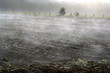 brouillard,champs, automne, Clemency,Luxembourg