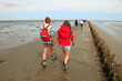UNESCO Weltnaturerbe, Nordsee Wattenmeer, Wattwanderung