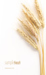 Grain and easy