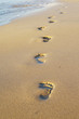 spuren im sand