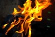 feuer feuer