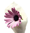 Flôr em cone de papel Flôr em cone de papel