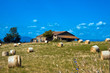Fattoria