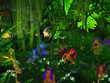 Forest Faries Forest Faries