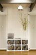 Showcase interior