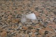 ice and water