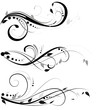 floral wave floral wave