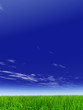 green grass over a blue sky with white clouds as background green grass over a blue sky with white clouds as background
