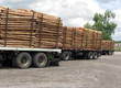 Trucks and trunks