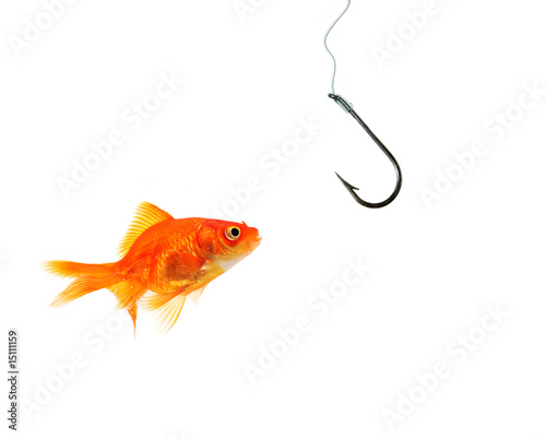 single goldfish facing empty hook
