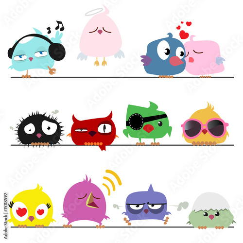 Vector: cute birds cute birds