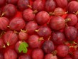 Beeren