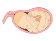 Unborn Child