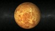 Venus