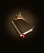Livre magique