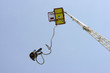 saut a l elastique