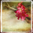 vintage artwork with flowers vintage artwork with flowers