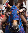 Medieval horse