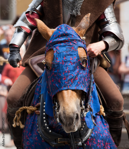 Photo: Medieval horse Medieval horse