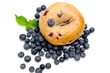 Blueberry Bagel