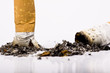 Cigarettes