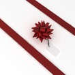 RED BOW