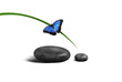 Zenitude_0005224