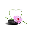 Zenitude_001129