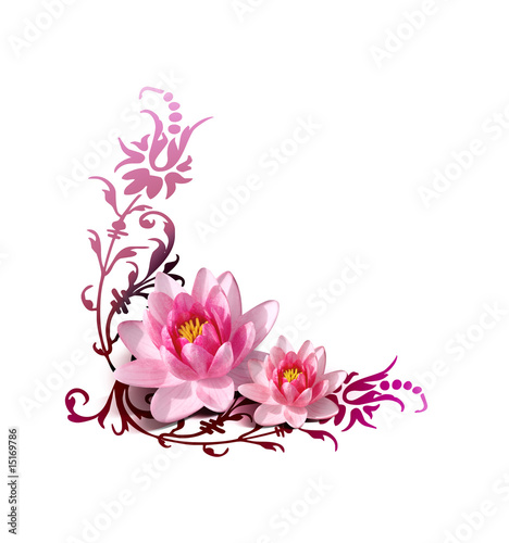 Photo: NENUPHAR0230 NENUPHAR0230