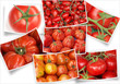 des tomates des tomates