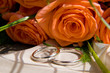 rings 4