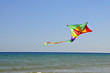 kite