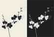 Beautiful orchid with shadow, duotone vector illustration Beautiful orchid with shadow, duotone vector illustration