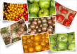 diverses variétés de tomates diverses variétés de tomates