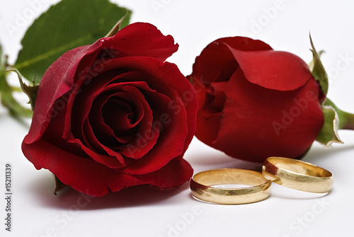 Photo: Anillos de boda. Anillos de boda.