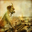 view of Paris from Notre dame - artistic style picture
