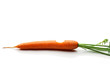 Carota morsicata