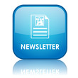 Square "NEWSLETTER" button with reflection (blue)