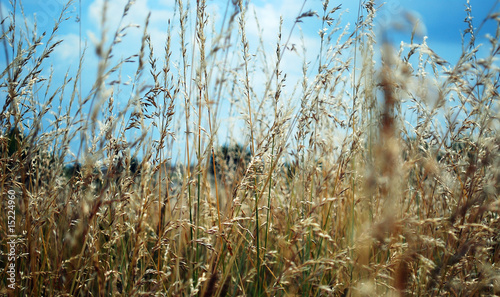 Photo: Summertime Summertime