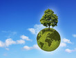 Erde und Umwelt