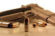 Hollow point bullet