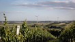 Panorama with wind mills Panorama with wind mills